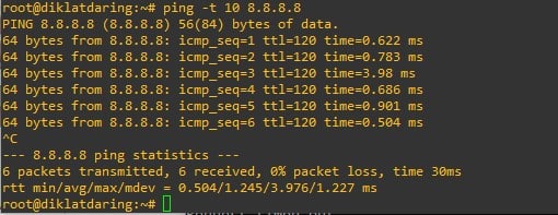 Set Ping TTL Count
